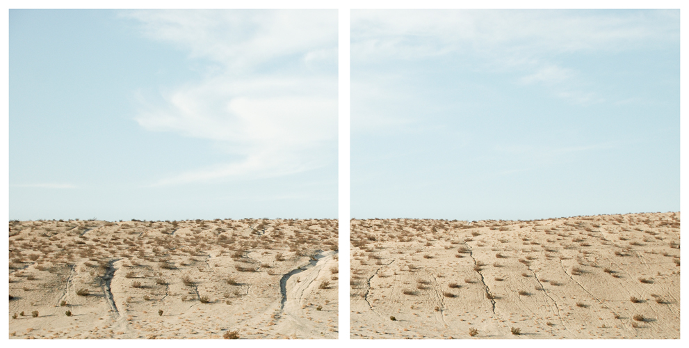Untitled #04 (diptych)